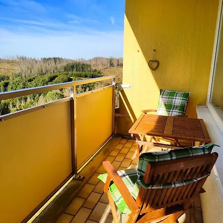 Bergzauber - Traumhafter Ausblick & Pool Apartment Braunlage
